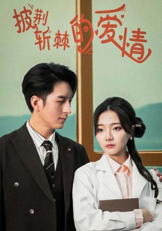 短剧披荆斩棘的爱情海报