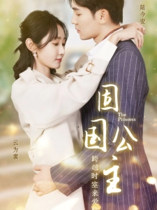 短剧固国公主海报