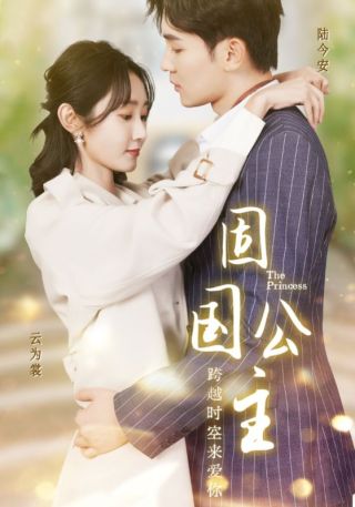 短剧固国公主海报