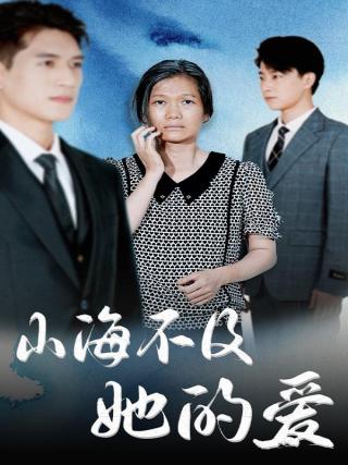 短剧山海不及她的爱海报