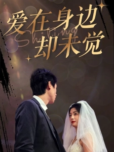 短剧爱在身边却未觉海报