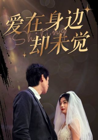 短剧爱在身边却未觉海报