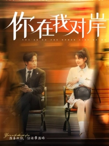 短剧你在我对岸海报