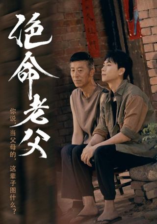 短剧绝命老父海报