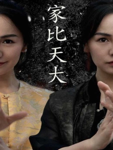 短剧家比天大海报