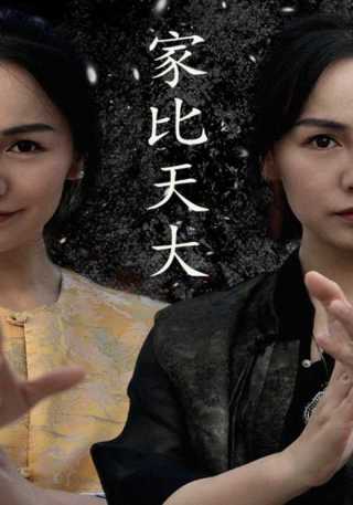 短剧家比天大海报