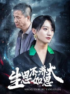 短剧生恩不如养恩大海报