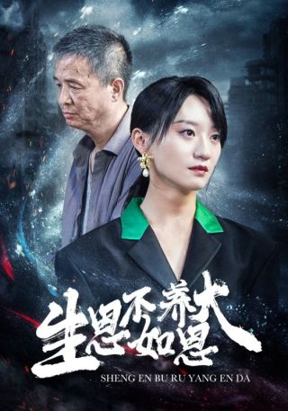 短剧生恩不如养恩大海报