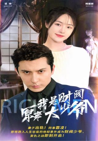 短剧原来我是财阀大少海报