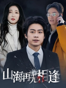 短剧山海再无相逢海报