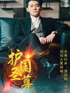 短剧护国圣尊海报