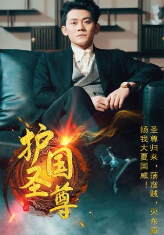 短剧护国圣尊海报