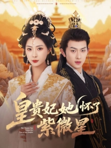 短剧皇贵妃她怀了紫薇星海报