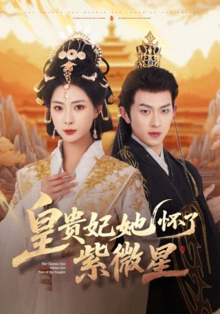 短剧皇贵妃她怀了紫薇星海报