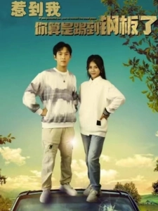 短剧惹到我你算是踢到钢板了海报