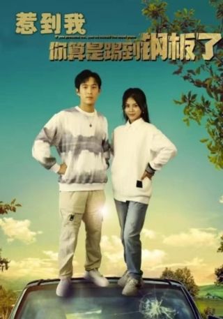 短剧惹到我你算是踢到钢板了海报