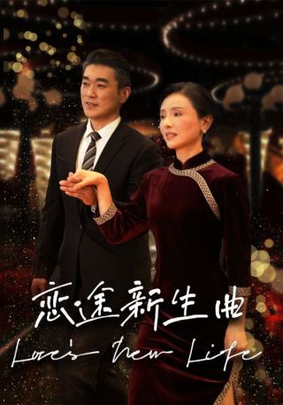 短剧恋途新生曲海报