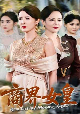 短剧商界女皇海报