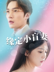 短剧缘定小盲妻海报