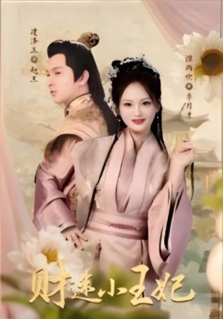 短剧财迷小王妃海报