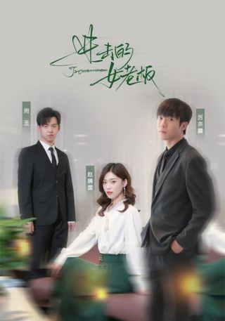 短剧进击的女老板海报