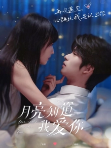 短剧月亮知道我爱你海报