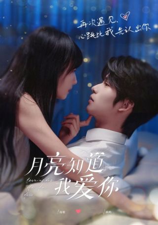 短剧月亮知道我爱你海报