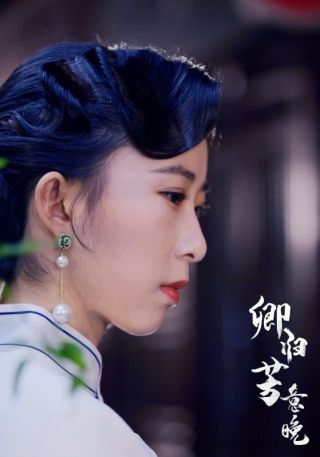 短剧卿归芳意晚海报