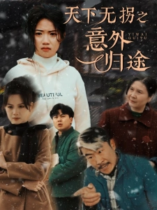 短剧天下无拐之意外归途海报