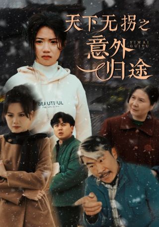 短剧天下无拐之意外归途海报