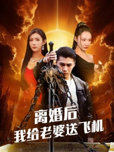 短剧离婚后我给老婆送飞机海报