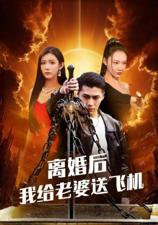 短剧离婚后我给老婆送飞机海报