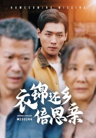 短剧衣锦还乡倍思亲海报