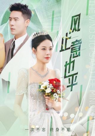 短剧风止意也平海报