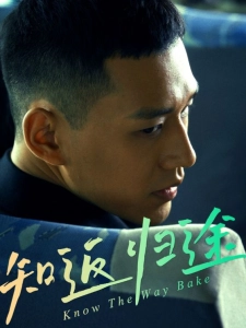 短剧知返归途海报