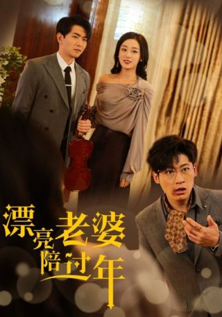 短剧漂亮老婆陪过年海报