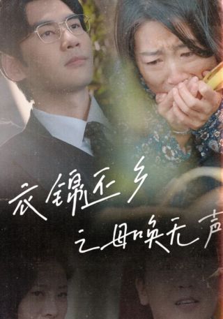 短剧衣锦还乡之母唤无声海报