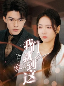 短剧我们就到这海报