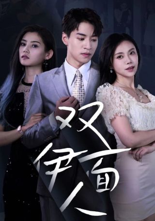 短剧双面伊人海报