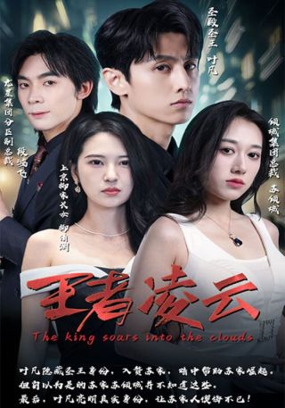 短剧王者凌云海报