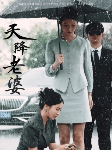 短剧天降老婆海报