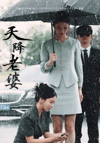 短剧天降老婆海报