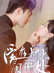 短剧爱在灯火阑珊处海报