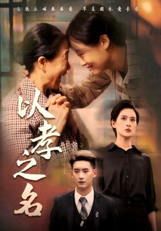 短剧以孝之名海报