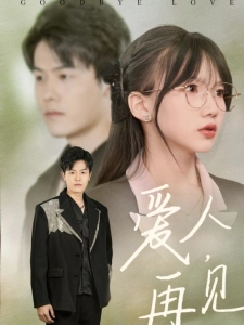 短剧爱人，再见海报