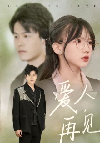 短剧爱人，再见海报