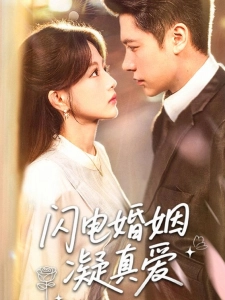 短剧闪电婚姻凝真爱海报