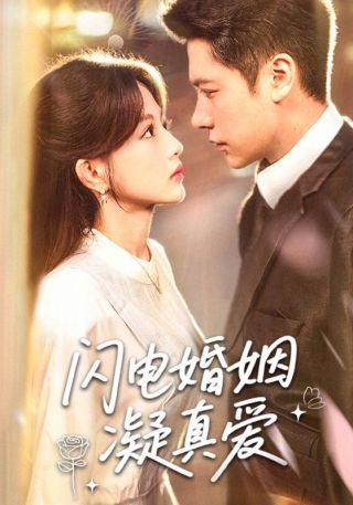 短剧闪电婚姻凝真爱海报