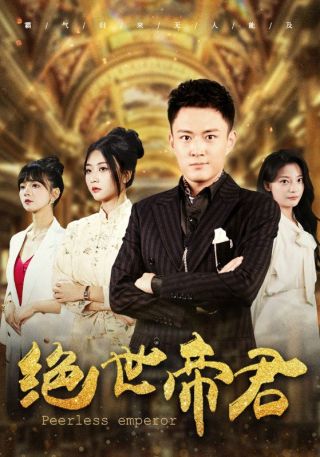 短剧绝世帝君海报