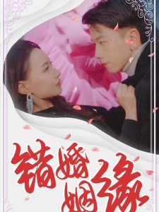 短剧错婚姻缘海报